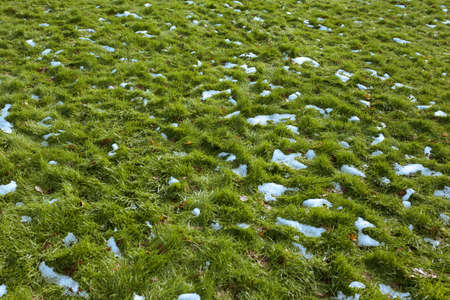 Spring, Snow meltingの写真素材