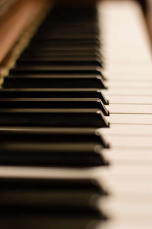 Grand piano keyboard IIの写真素材