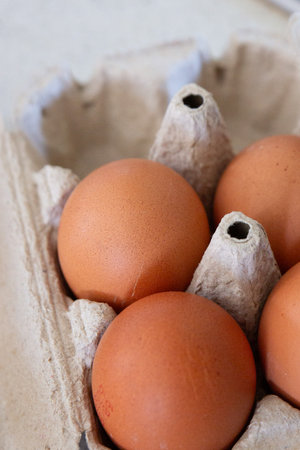 Eggs inside a carton packaging, tray of eggs. Conceptual photo of the rising price of eggs, egg...