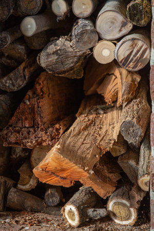 Detailed close-up perspective of carefully stacked firewood showing intricate natural patterns and textures. Each log displays unique growth rings, varying wood grain patterns, and color gradations from cream to deep brown. Orange-toned freshly cut wood contrasts with darker, aged timber and moss-covered sections. The layered arrangement reveals the organic structure of different tree species and ages. Natural lighting emphasizes the three-dimensional quality and tactile textures of the wood surfaces, highlighting the craftsmanship of traditional firewood preparation and storage.の写真素材