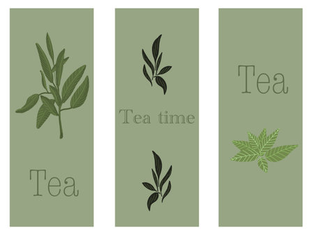 Vector set of tea print with green leavesのイラスト素材
