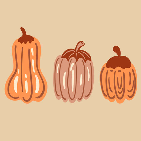 Pumpkin flat design set with lines yellow and orangeのイラスト素材