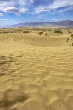 Landscape of sand dunes - The Mesquite Flat Sand Dunes in Death Valley National Park, California, USAの写真素材