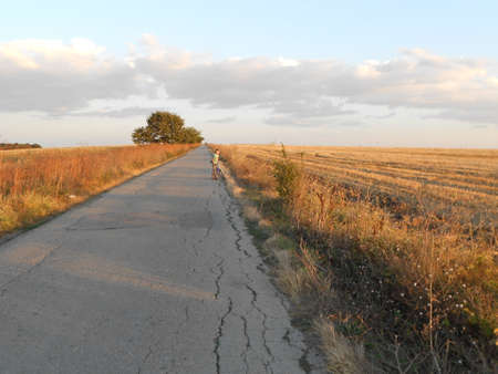 sunset in the fieldのeditorial素材