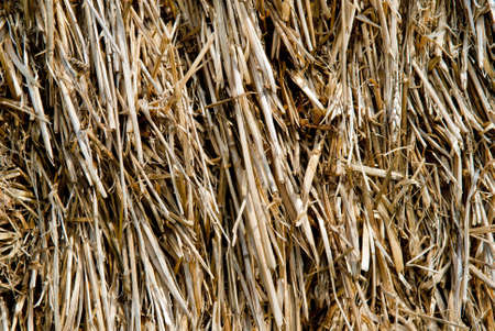 straw, hay background; rural background.