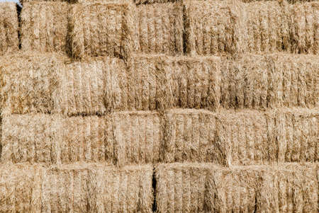 straw, hay background; rural background.の写真素材