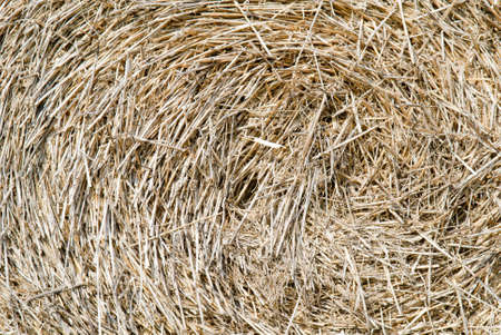 straw, hay background; rural background.