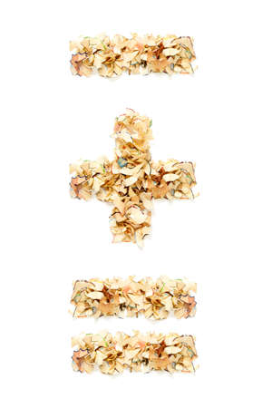 Plus sign, minus sign and equal sign made of pencil shavings for your project.の写真素材
