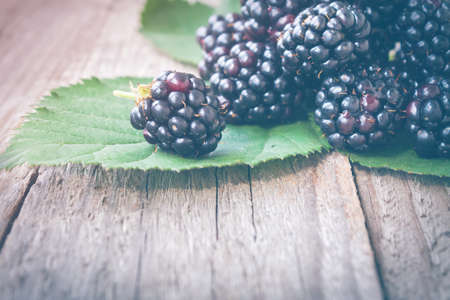 Fresh Blackberries on rustic wooden background. Toned imageの写真素材