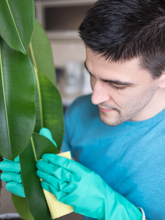 Adult man cleaning pipal in kitchen by yellow cloth
