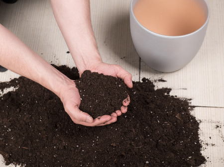 Young gardener holding bunch of fertile soil while transplanting a plant