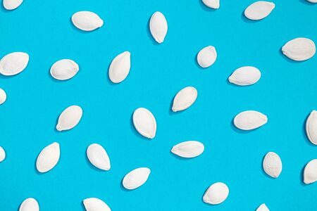 White pumpkin seeds flat lay pattern on blue backgroundの写真素材
