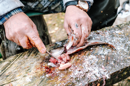 Fisherman cleaning fish by knife on wooden board outdoorsの写真素材