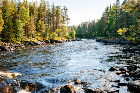 Beautiful landscape with mountains, forest and riverの写真素材
