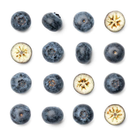 Collection of bog whortleberry isolated on white backgroundの写真素材