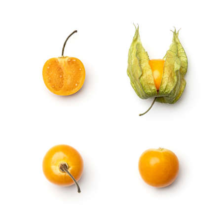 Collection of physalis berries isolated on white backgroundの写真素材
