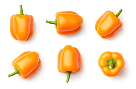 Collection of peppers isolated on white backgroundの写真素材