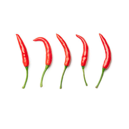 Collection of red chilli peppers isolated on white backgroundの写真素材