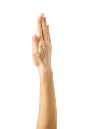 Raised hand voting or reaching. Woman hand with french manicure gesturing isolated on white background. Part of seriesの写真素材
