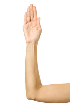Stop it. Woman hand with french manicure gesturing isolated on white background. Part of seriesの写真素材