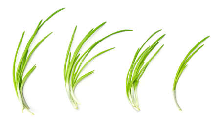 Collection of young green onion isolated on white background. Set of multiple images. Part of seriesの写真素材