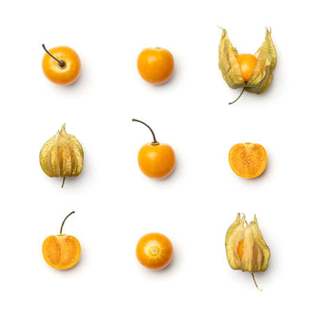 Collection of physalis berries isolated on white background. Set of multiple images. Part of seriesの写真素材