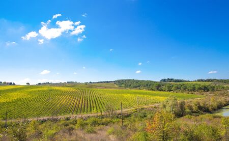 Tuscany meadows, italian rural landscape near Florenceの写真素材