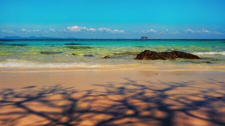 Shadows of trees branches on the sand of tropical beachの写真素材