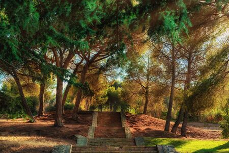 Autumn sunny day, steps of stairs in the old park, many fallen foliage. Seasons. Natural background in golden colorの写真素材