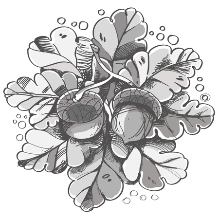Pattern in doodle style, vector illustration oak leaves and acornsのイラスト素材