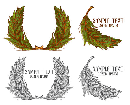 Acorns on white background, forestのイラスト素材