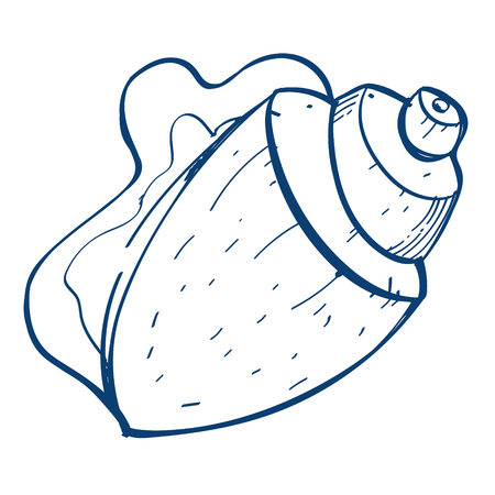 Shell icon. Design elements in hand drawn style.のイラスト素材