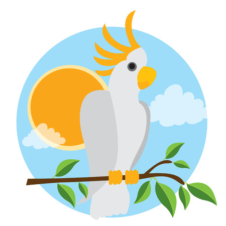 Parrot Cockatoo white large. Exotic birds. Vector illustration isolated on white background.のイラスト素材
