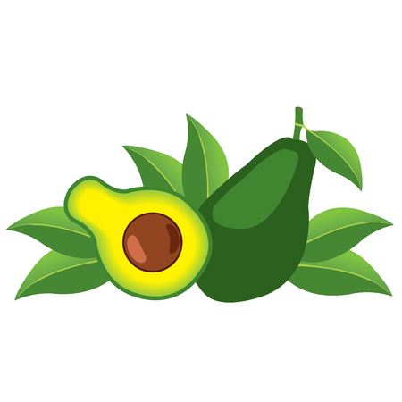Avocado fruit logo. Halves of avocado leaves. Vegetarianism. Raw food diet.のイラスト素材