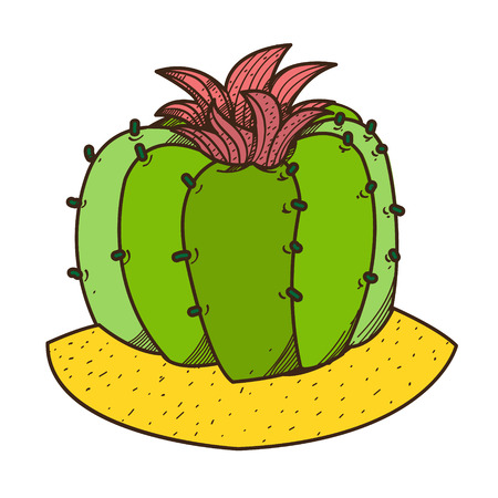 Blooming cactus colored illustration, plants logo on a white background.のイラスト素材