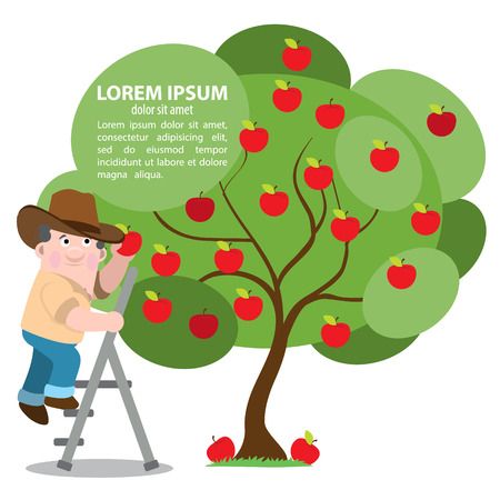 Farmer collects the harvest of apples. Farming. Agricultural business.のイラスト素材