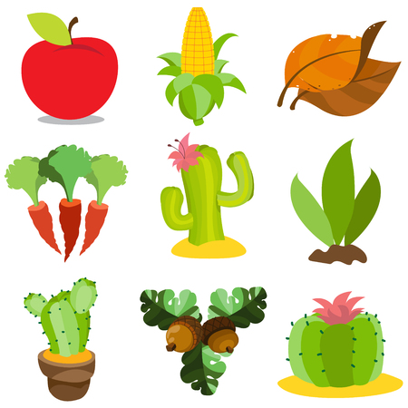 Set of color illustrations on the theme of farming. Apple, corn, carrots, cacti, tobacco, acorns. Vegetables, fruits, plants.のイラスト素材