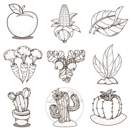 Outline drawing for coloring on farming, . Apple, corn, carrots, cacti, tobacco, acorns. Vegetables, fruits, plants.のイラスト素材