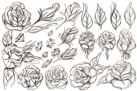 Botanical graphics. Roses. A set of illustrations with buds, blossoming flowers and leaves.のイラスト素材