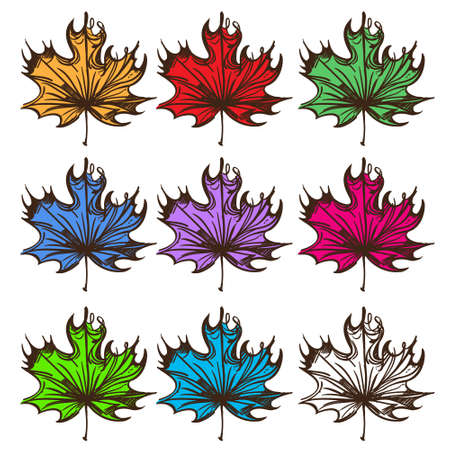 Big set of multi-colored maple leaves. Labels for design autumn party and various itemsのイラスト素材
