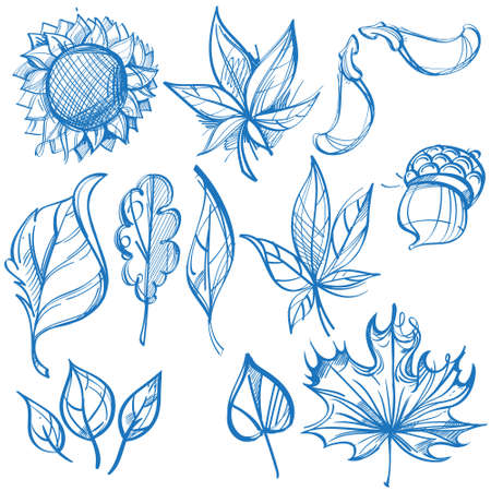 Big outline set of leaves. Labels for design autumn party and various itemsのイラスト素材