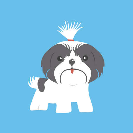 Shih tzu dog icon. Vector illustration.のイラスト素材