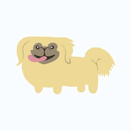 Pekingese dog icon. Vector illustration.のイラスト素材