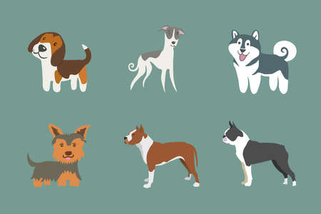 Dog breeds icon. Drawn in cartoon style. Vector illustration.