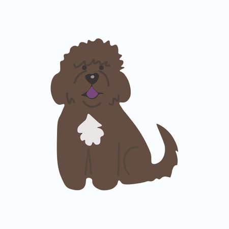 Barbet French water dog icon. Dog icon.のイラスト素材
