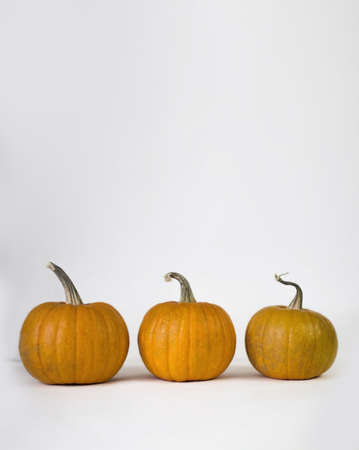 Round orange pumpkin on a white backgroundの写真素材