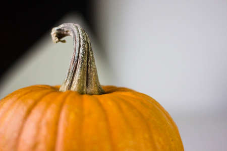 Round orange pumpkin on a white backgroundの写真素材