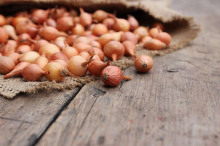 Natural small onion in a bag on a wooden board