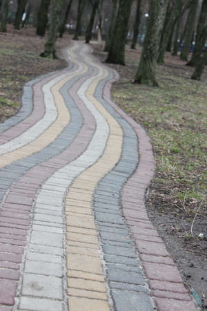 Walkway in the park.Footpath paved with paving slabs in the park.の写真素材