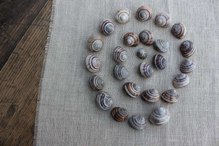 The pattern of the shells of snails on a linen cloth